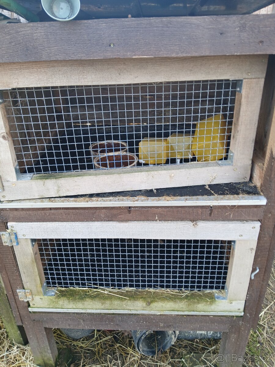 Prodam kralikarny - 3