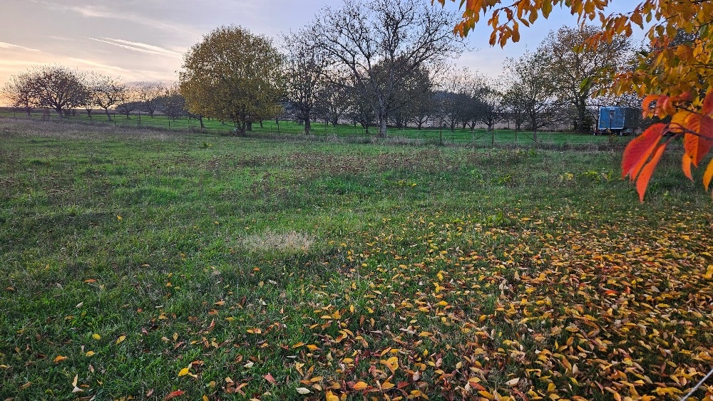 prodám pozemek k bydlení a podnikání - Vilice - Zátiší - 3