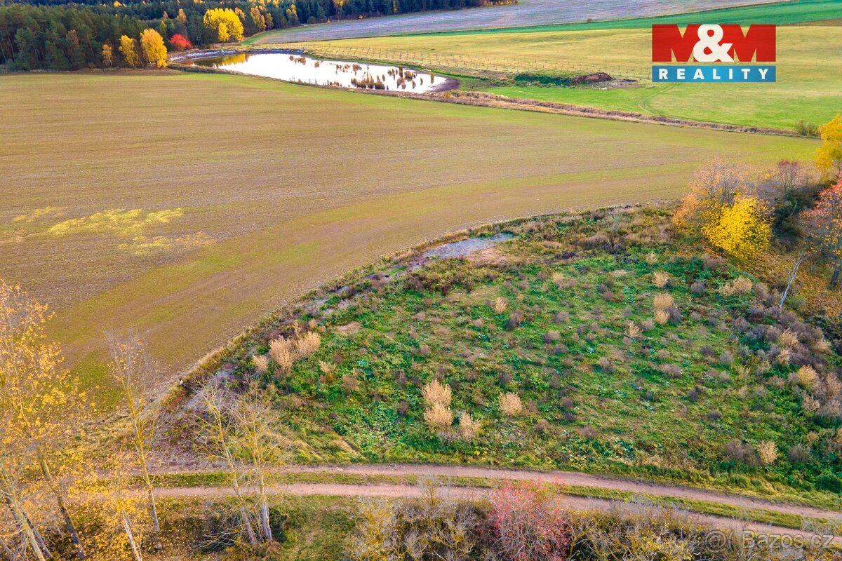 Prodej louky, 672 m², Vysoká Libyně - 3