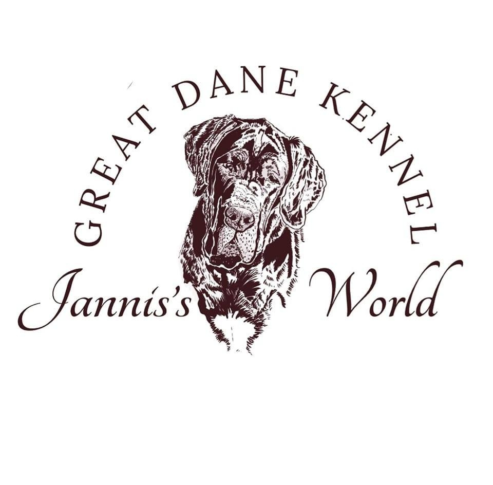 Německá doga černá s PP - 3