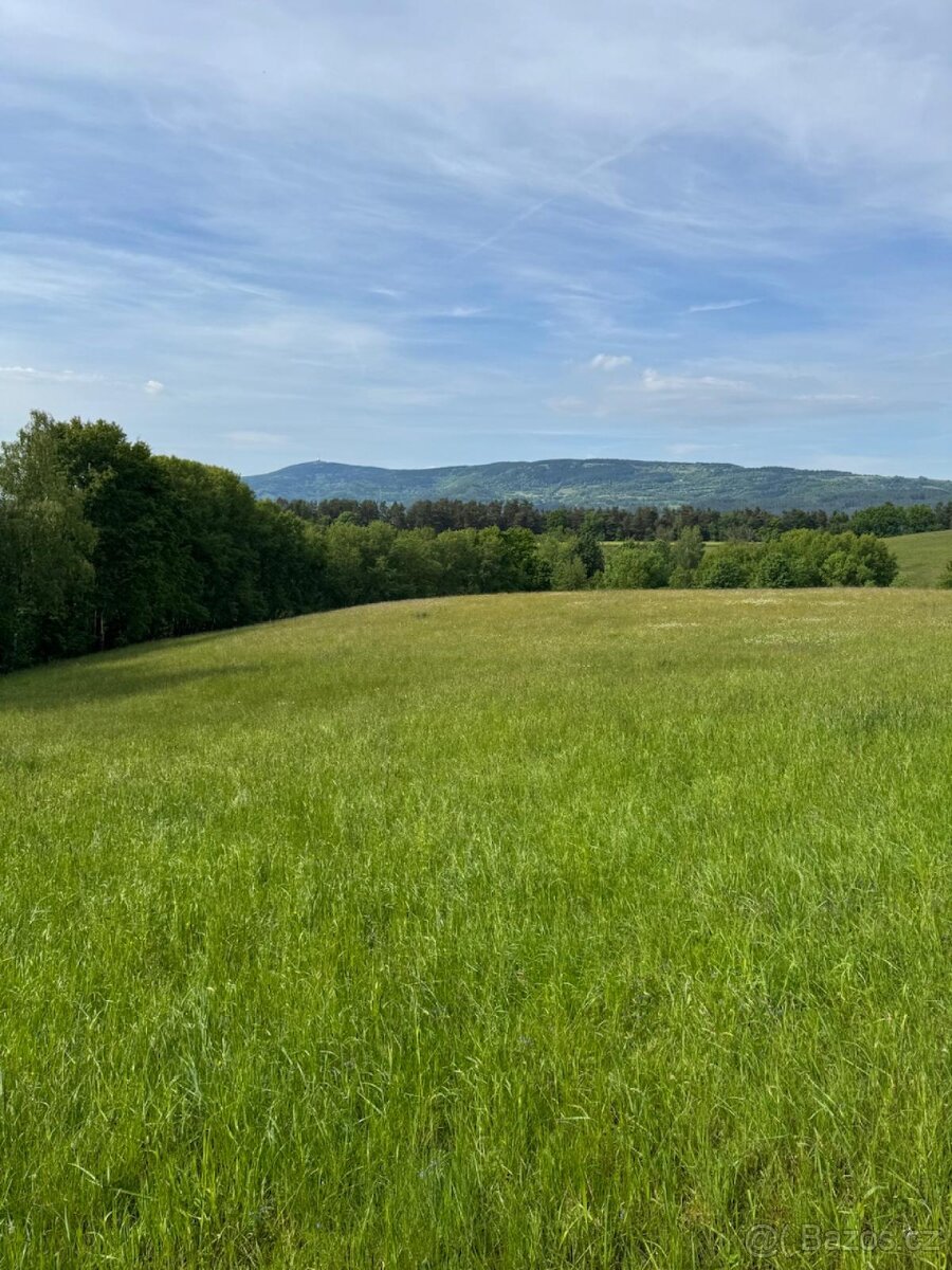 Prodám pozemky v katastrálním území Český Dub - louky - 3