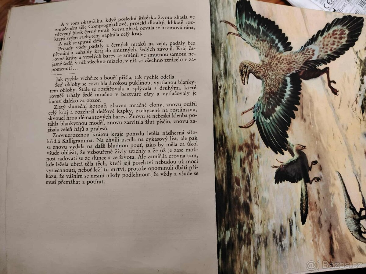 Z hlubin Pravěku - Dr.Josef Augusta - 3