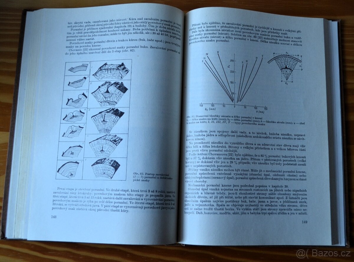 Vady dřeva - J. Klír - 3