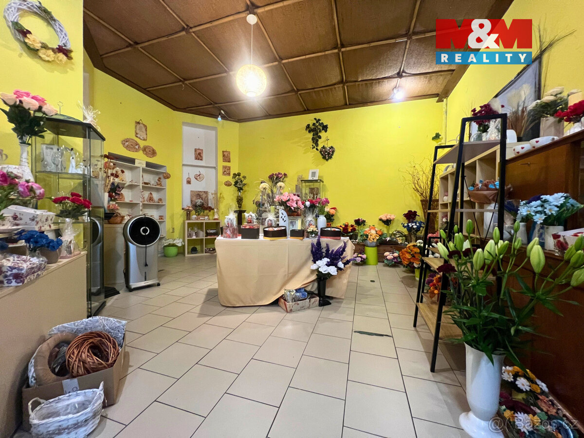 Pronájem obchod a služby, Bohumín, ul. tř. Dr. E. Beneše - 3