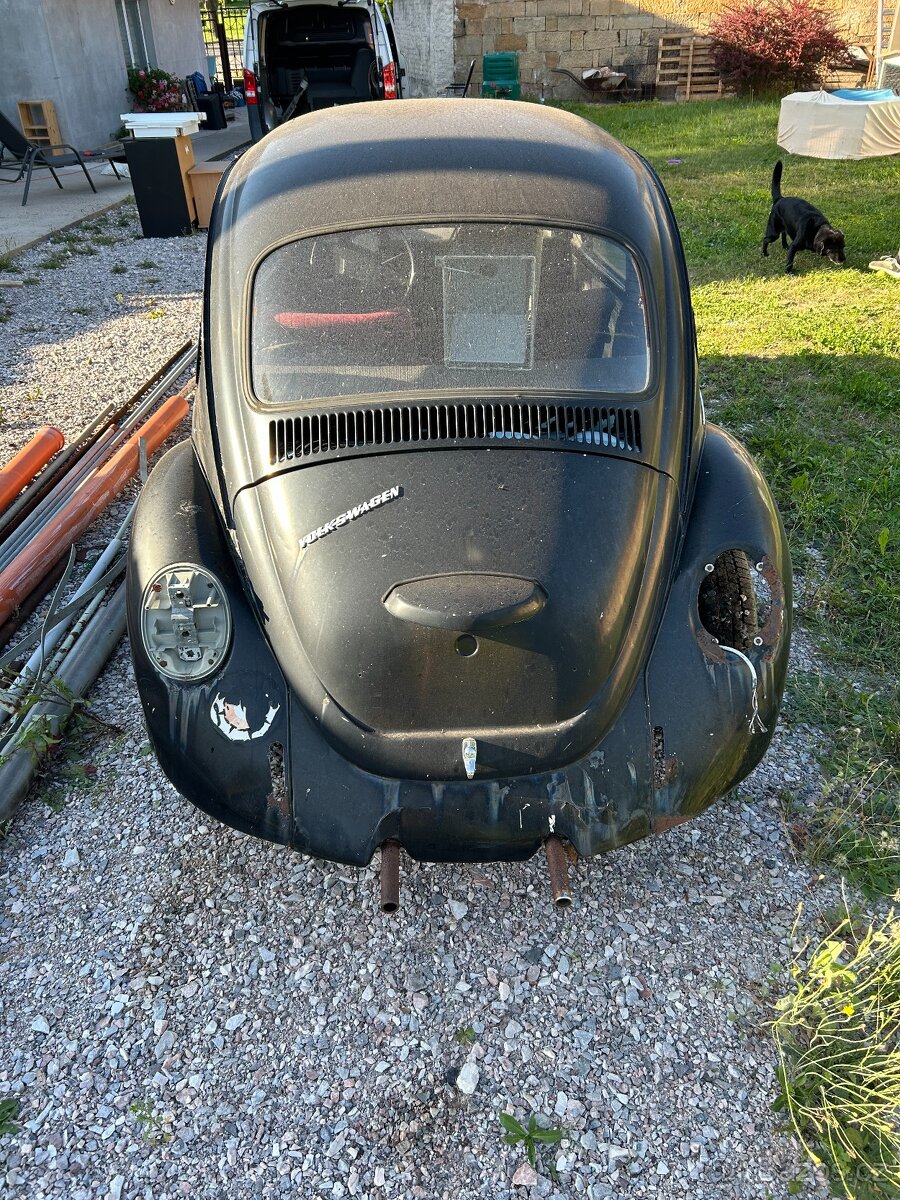 Volkswagen Brouk 1303 - 3