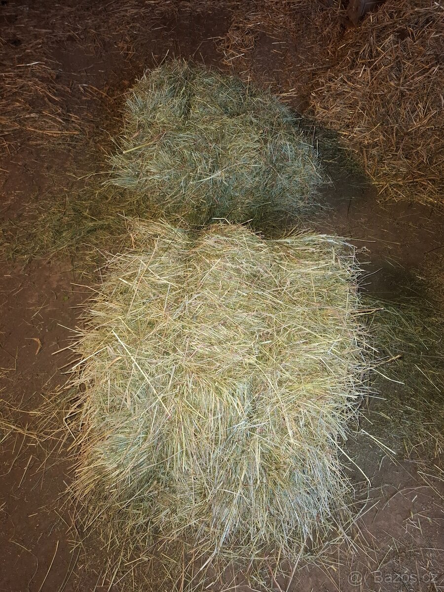 Seno malé balíky - 3