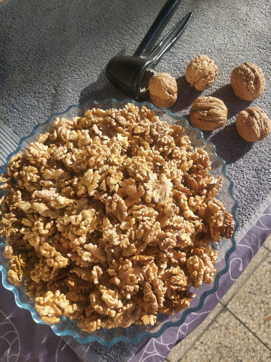 Vlašské ořechy - 3