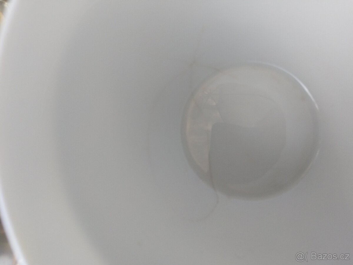 Starožitný kávový servis František Bibus - 3