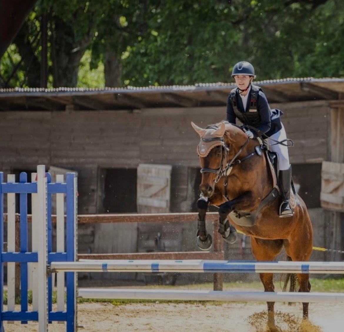 Hodná klisna A1/1 - 3