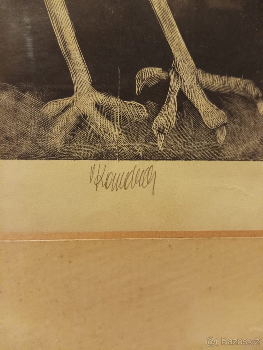 Obraz ,grafika ,Vladimír Komárek . - 3