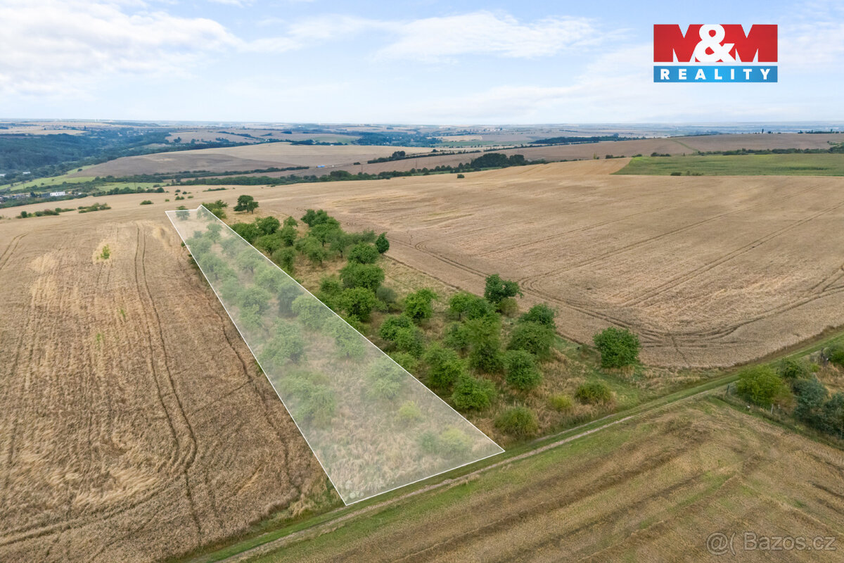 Prodej ovocného sadu, 5202 m², Kralupy nad Vltavou - 3