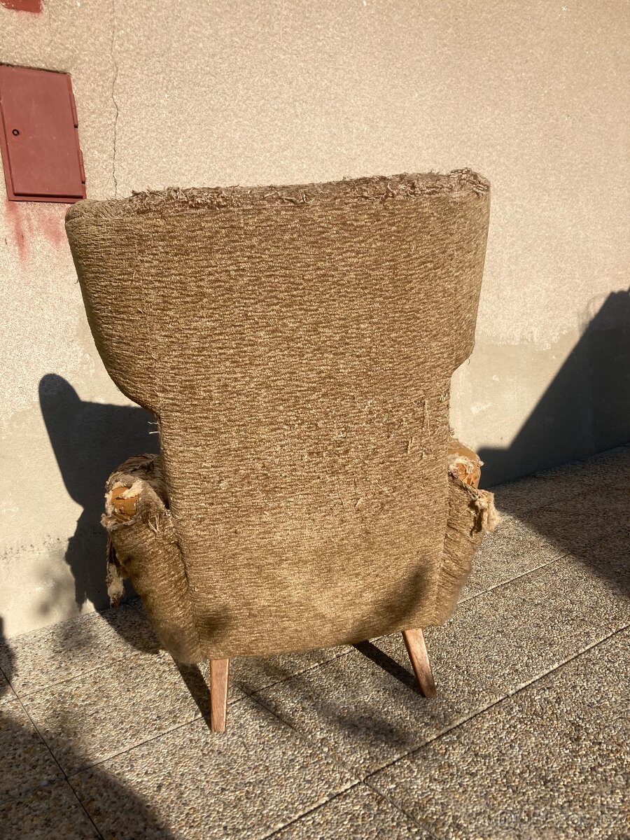 Starý ušák před revovací - 3