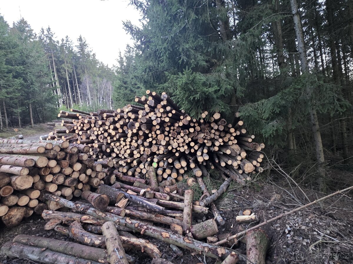 Dřevěná tyčovina - 3