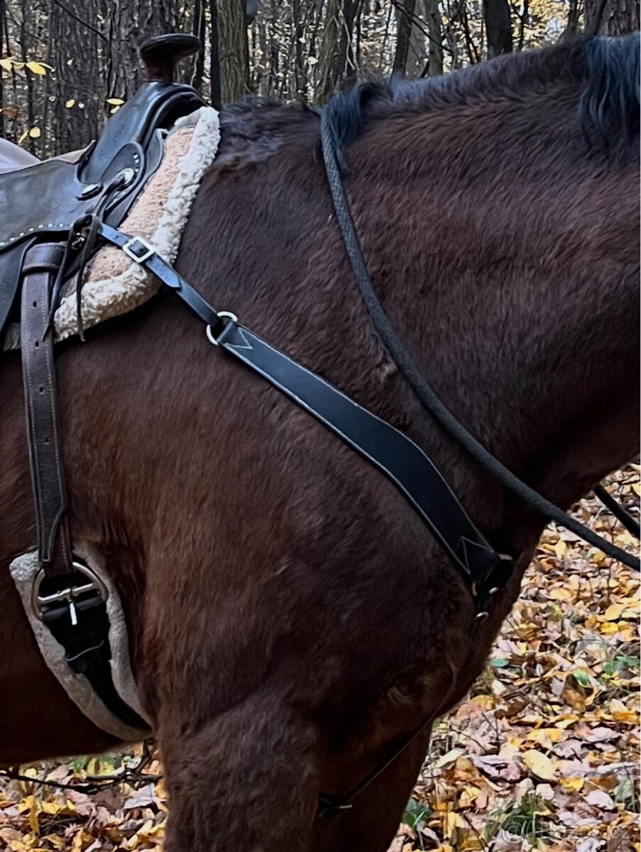 Černý kožený poprsák - 3