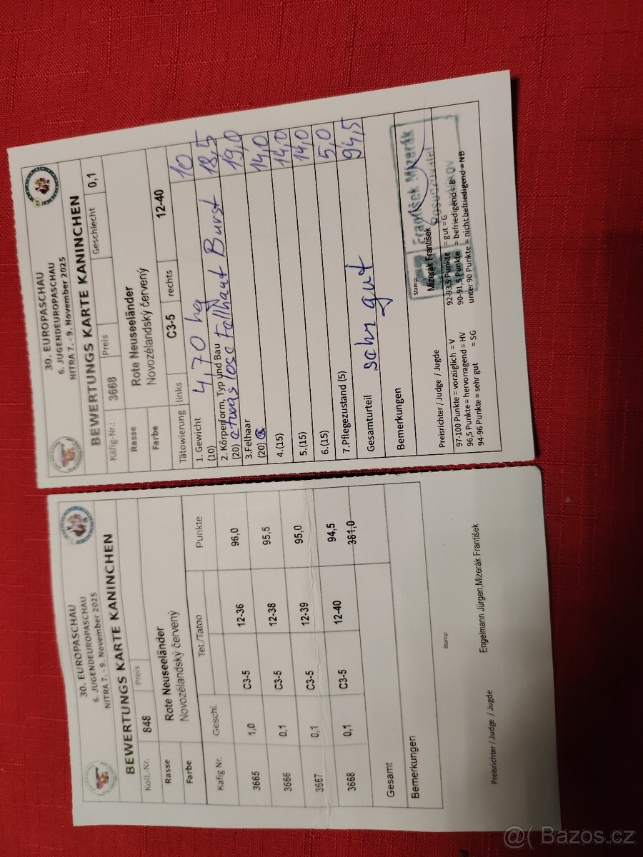 Novozelandsky červený - 3