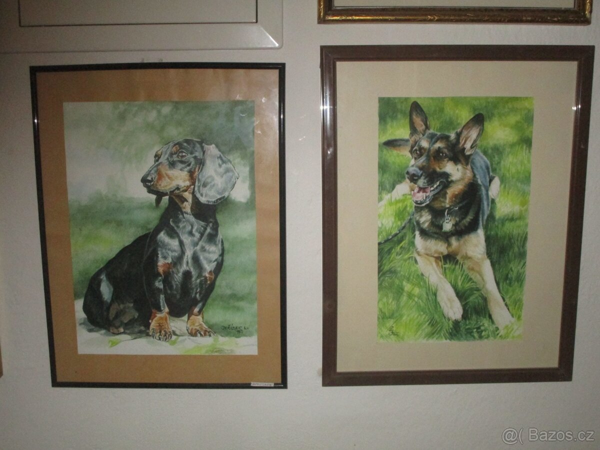 buldoček-olejomalba - 3