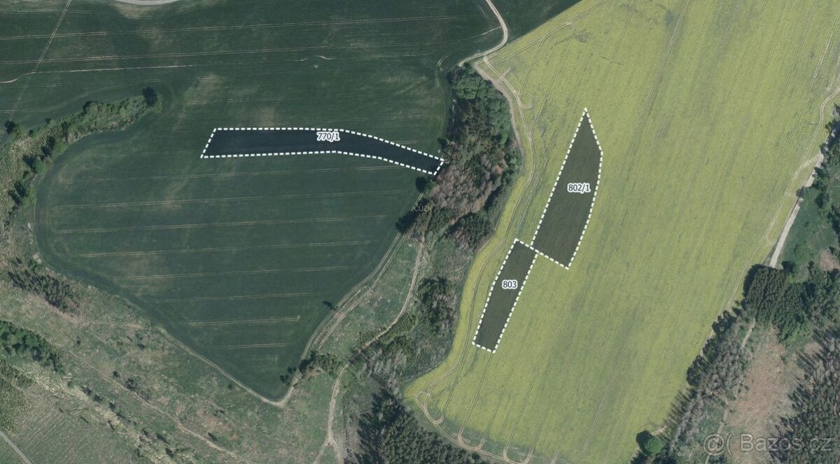 Zemědělská půda, prodej, Hořice, Pelhřimov - 3