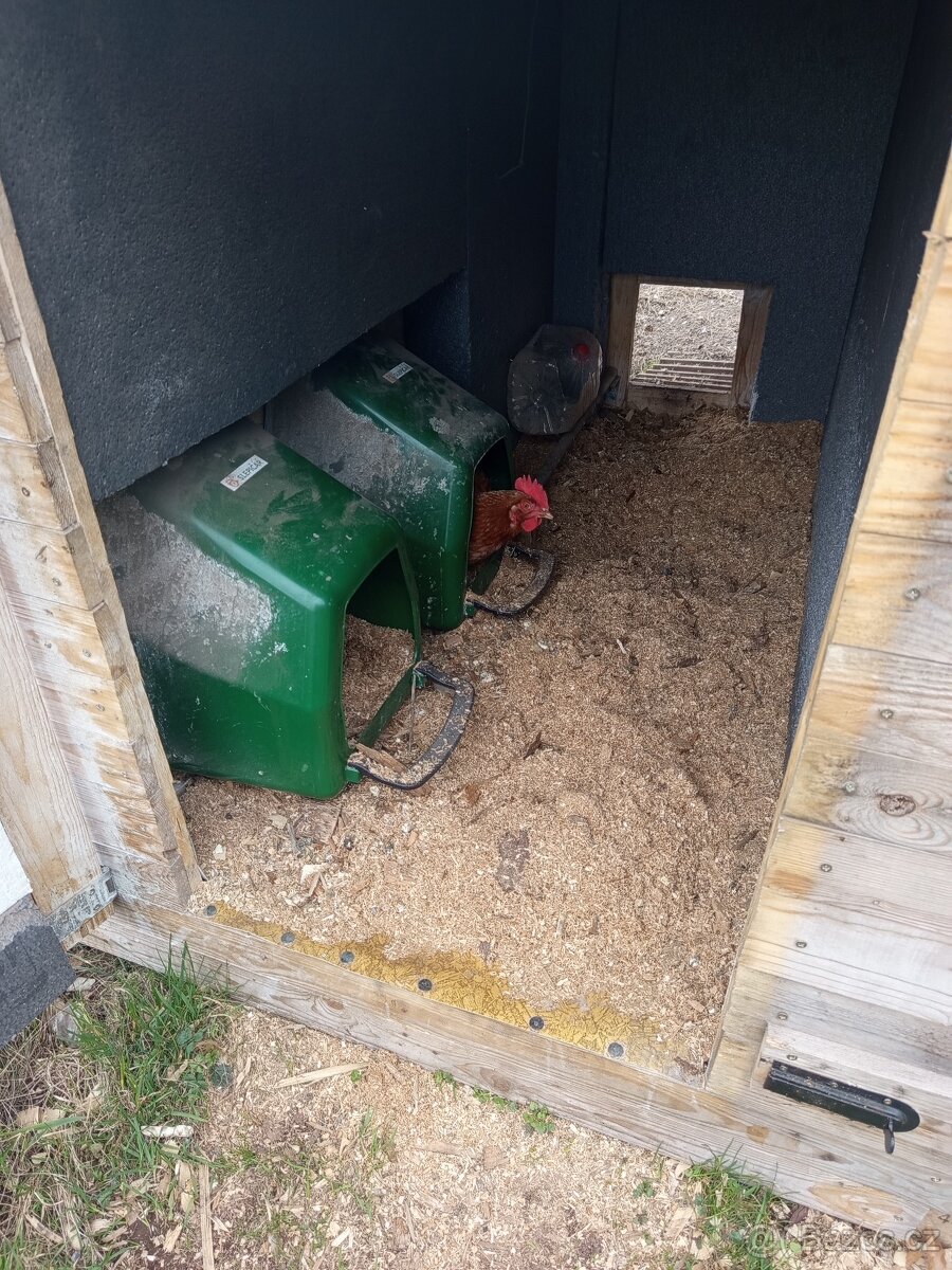 Kurník + slepice - 3