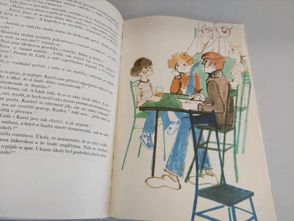Helena Hodačová - Radek, brouk a Andulka Šafářová kniha děti - 3