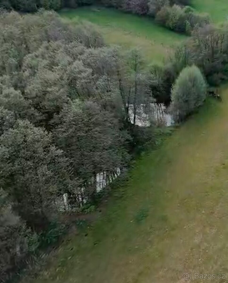Pastevní ustájení - 3