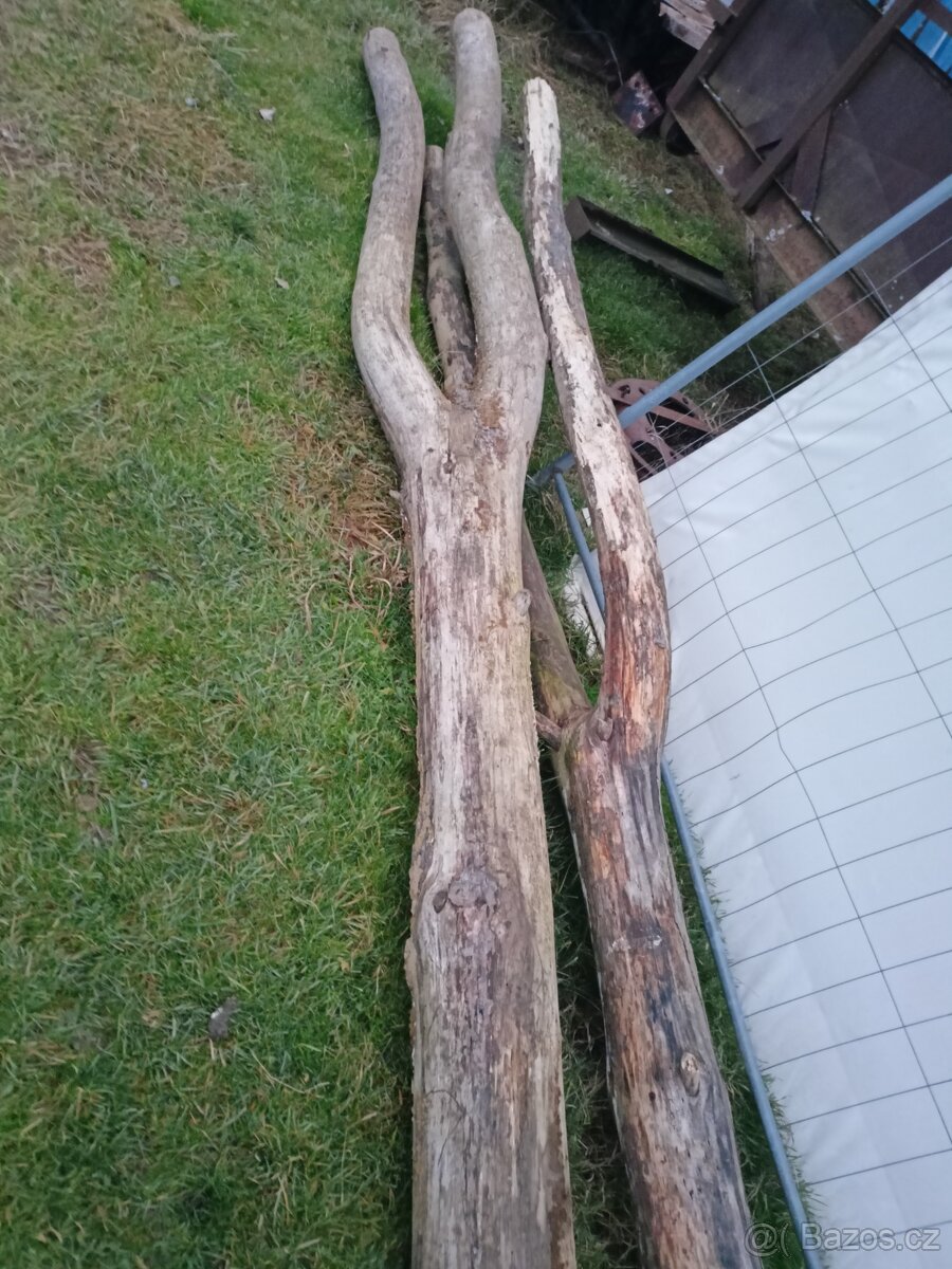 Prodám zvoničky - 3