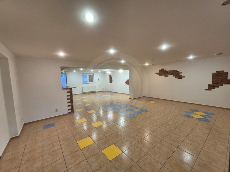 PRONÁJEM OBCHODNÍHO PROSTORU, BORŠOV NAD VLTAVOU - 3