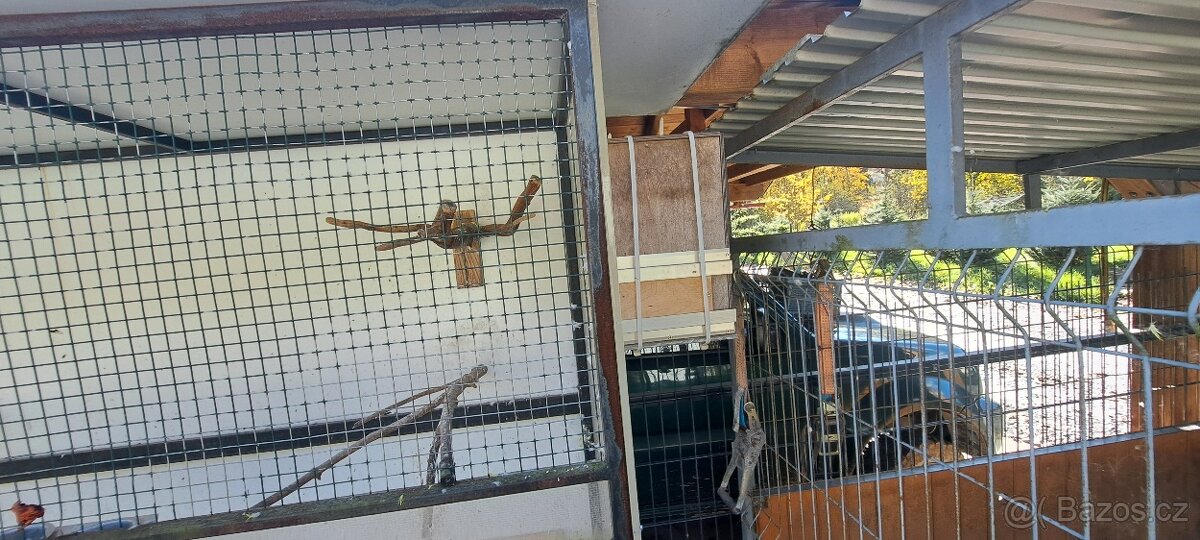Prodám volieru - 3