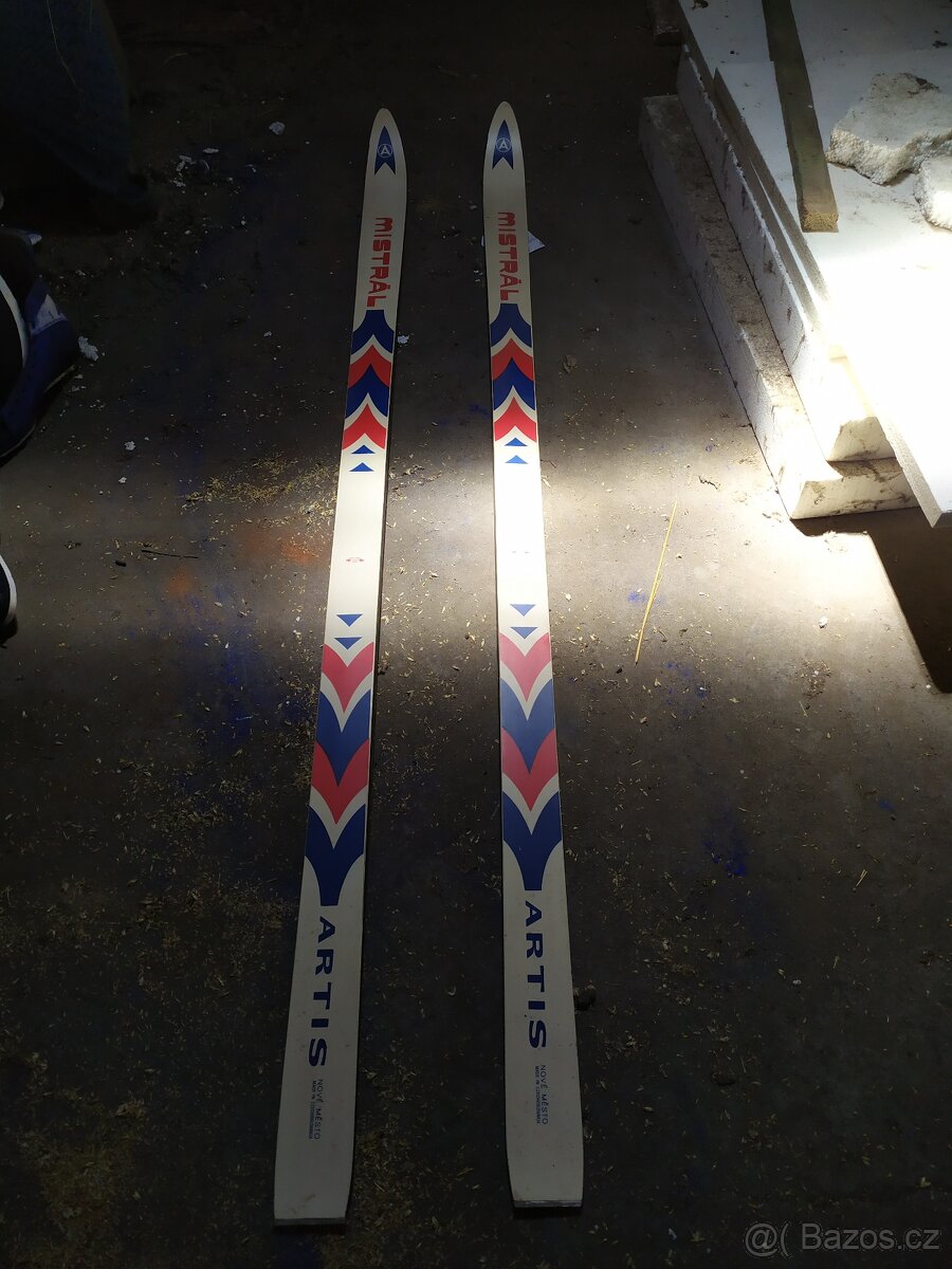 Lyže/běžky - 3