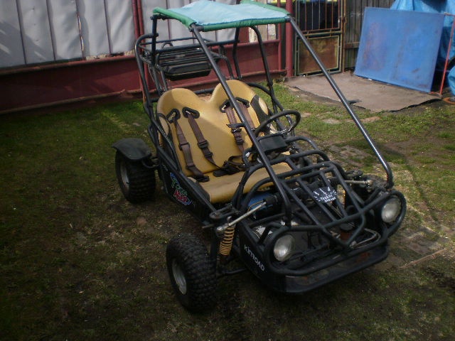 buggy 110