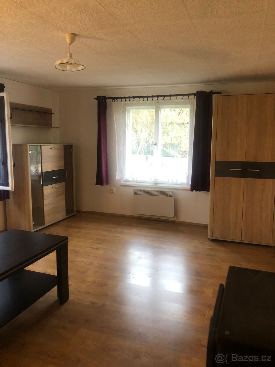 🏡Pronájem bytu 1+1 se zahradou – Petkovy u Mladé Boleslavi - 3