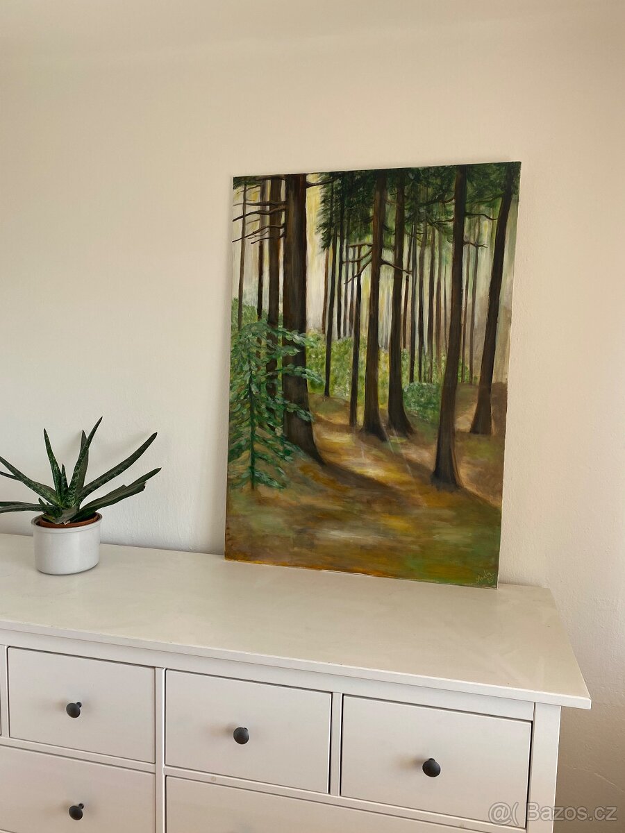 Obraz les v Beskydech - 3