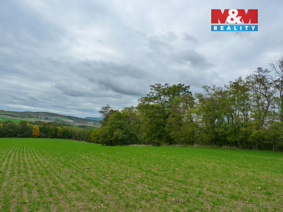 Prodej lesa v Drahobuzi - 3