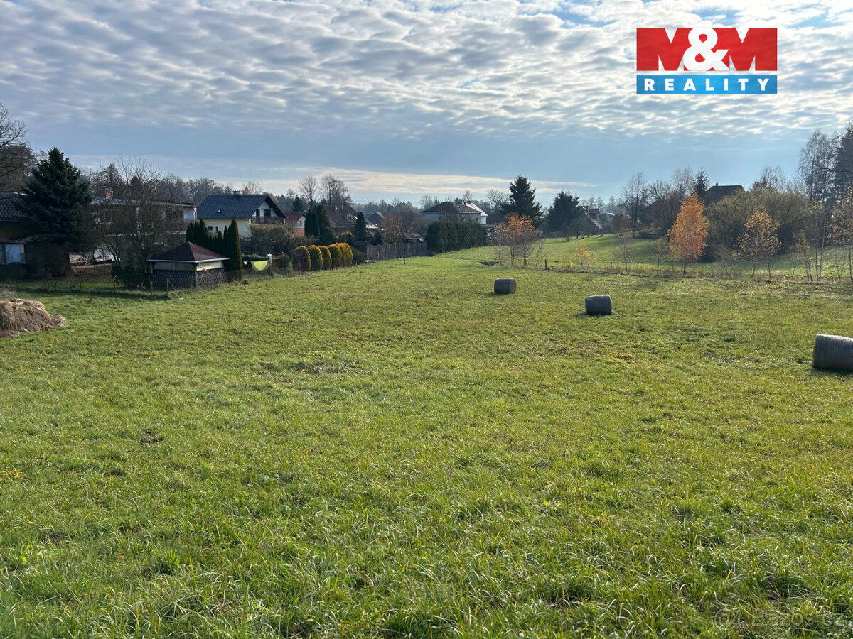Prodej louky, 5000 m², Žichlínek - 3