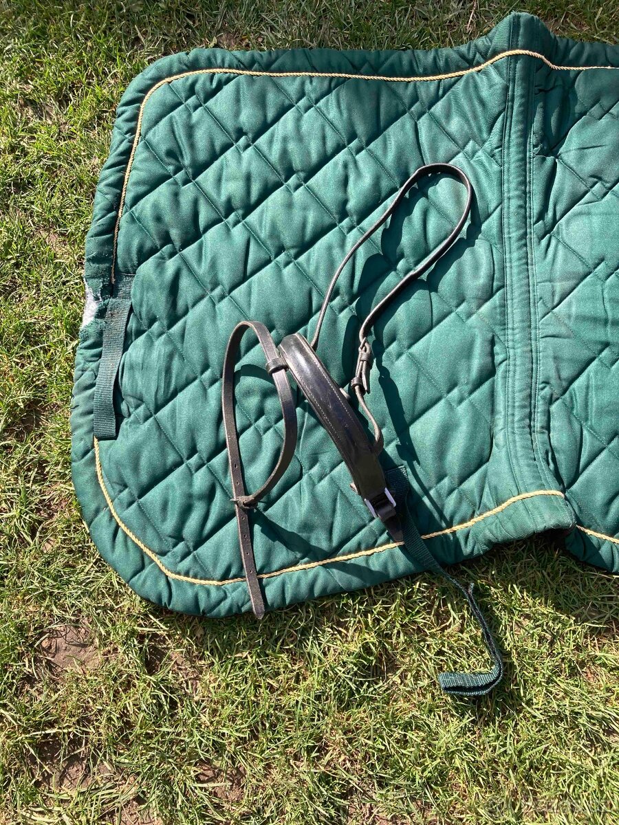 různé potřeby pro koně - 3