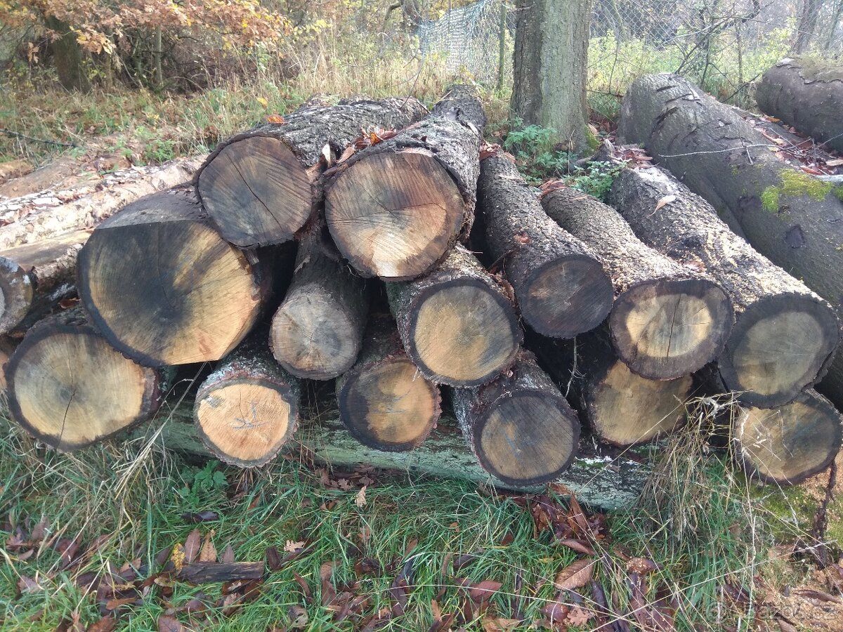 Dubová kulatina - 3