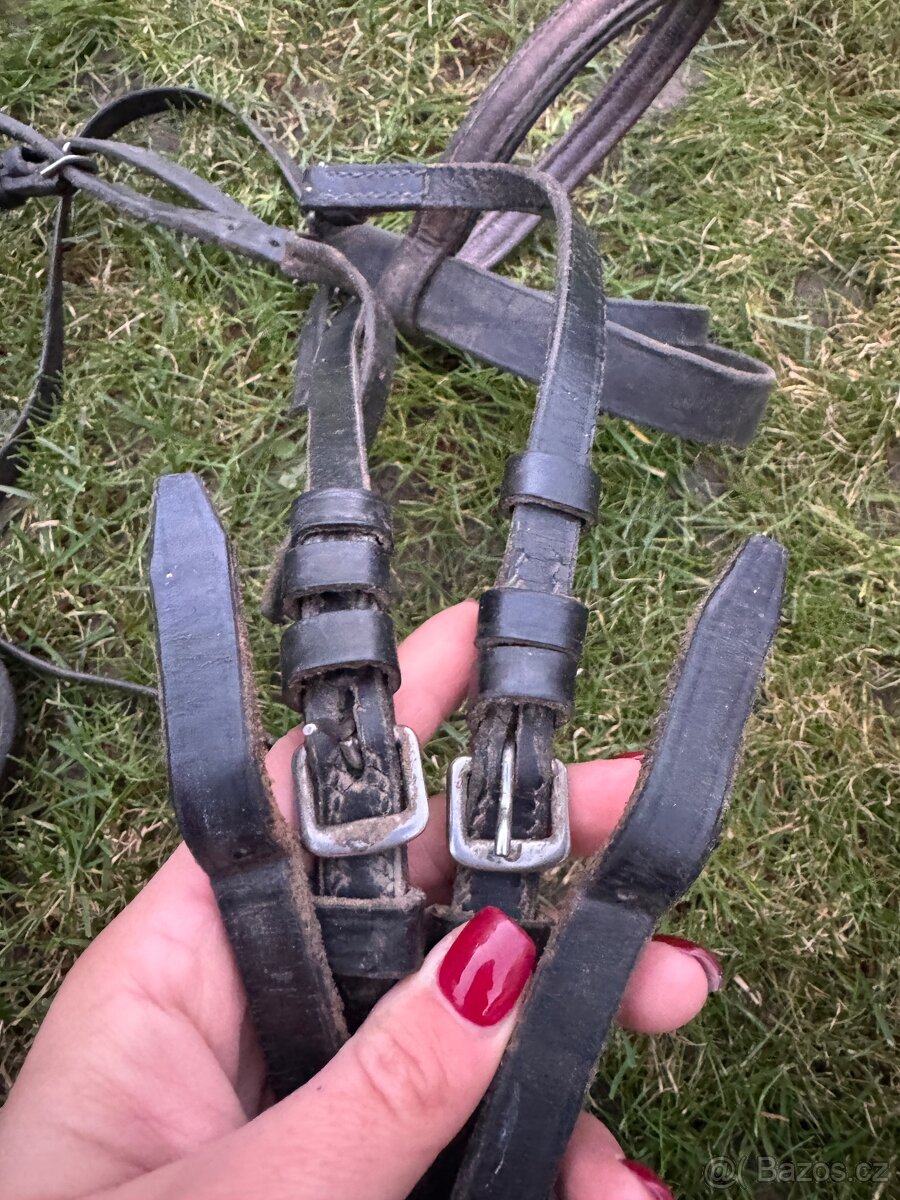 Uzdecka komplet s sirokym nanosnikem - 3