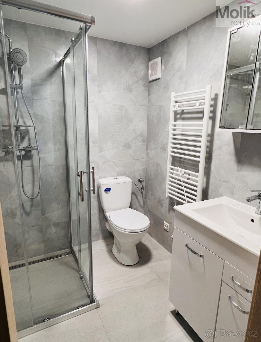 Pronájem bytu 1+kk 38 m2 - 3