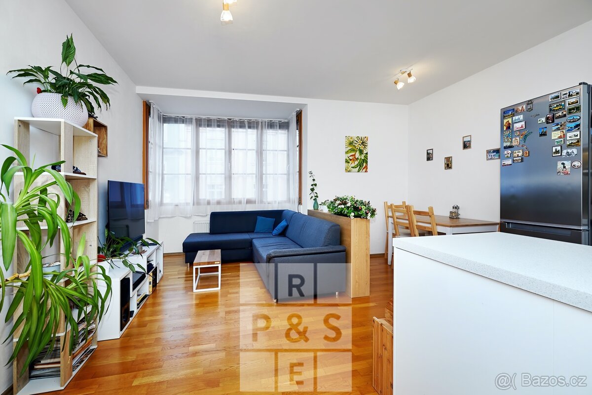 Pronájem, Byty 2+kk, o velikosti 56m² a sklepní koje 5,3m² - 3