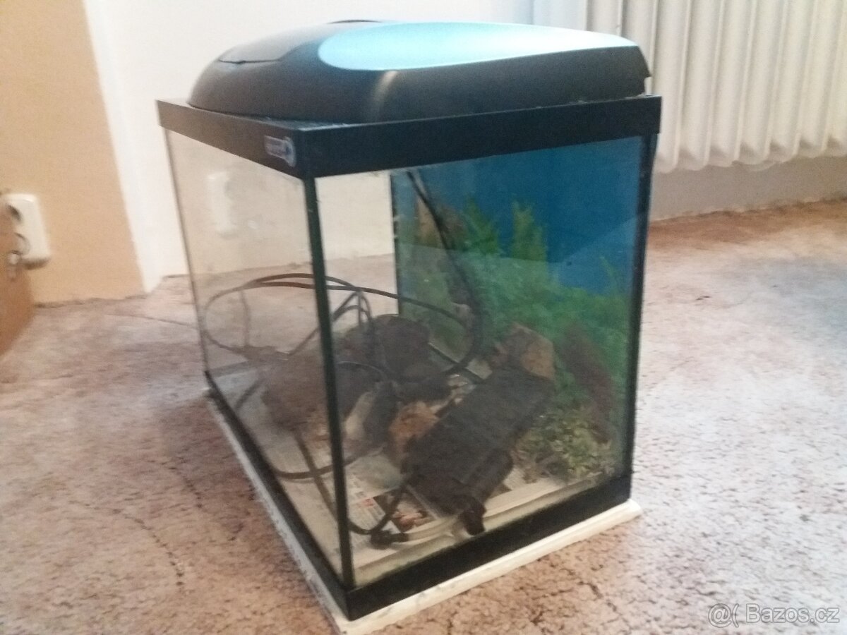 Akvárium 30 l - 3