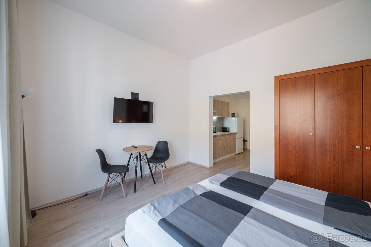 Pronájem — stylový byt 1kk pro pár ve Vinohradech - 3
