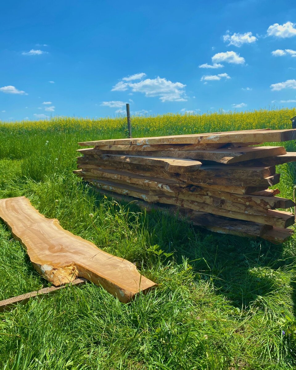 Fošny třešeň - 3