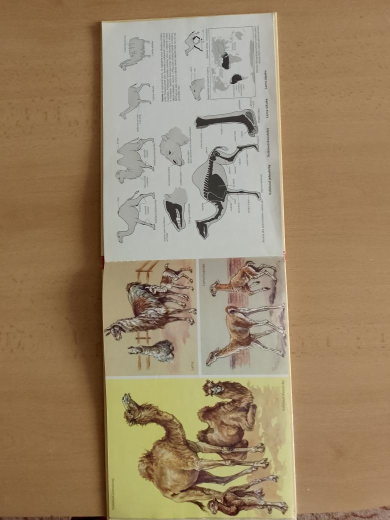 Staré dětské knihy - 3