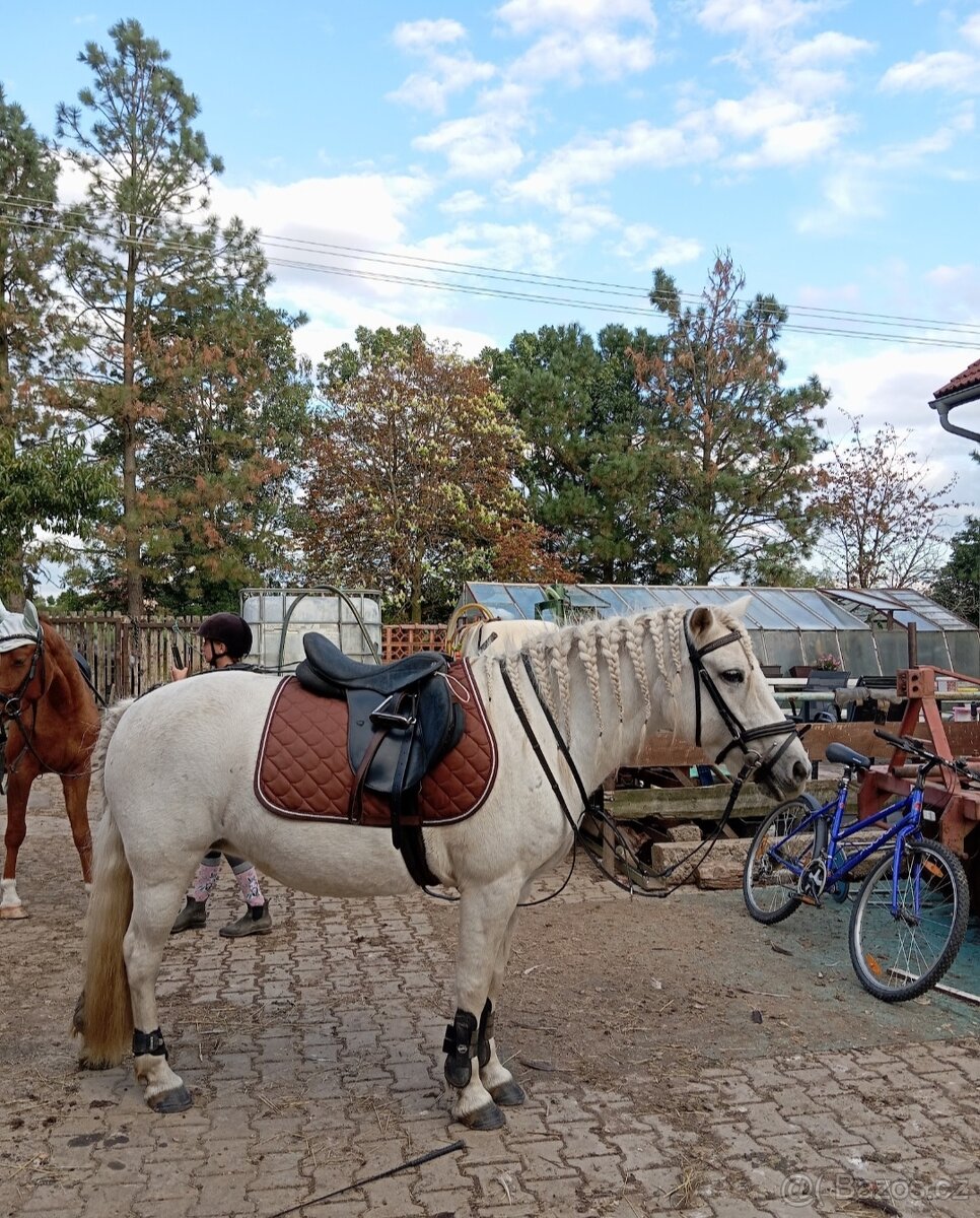 Podsedlová dečka - 3