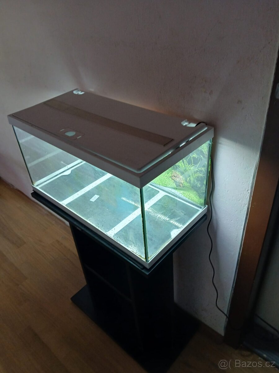 Akvárium - 3