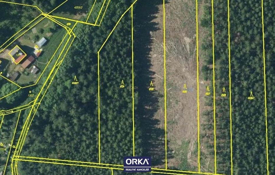 Prodej, Lesy, 5078m2 - Budětsko - 3