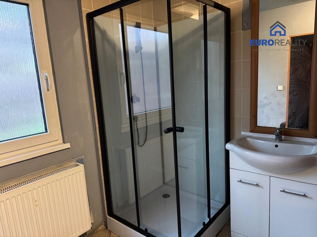 Pronájem, byt 1+kk, 40 m2, Planá - 3