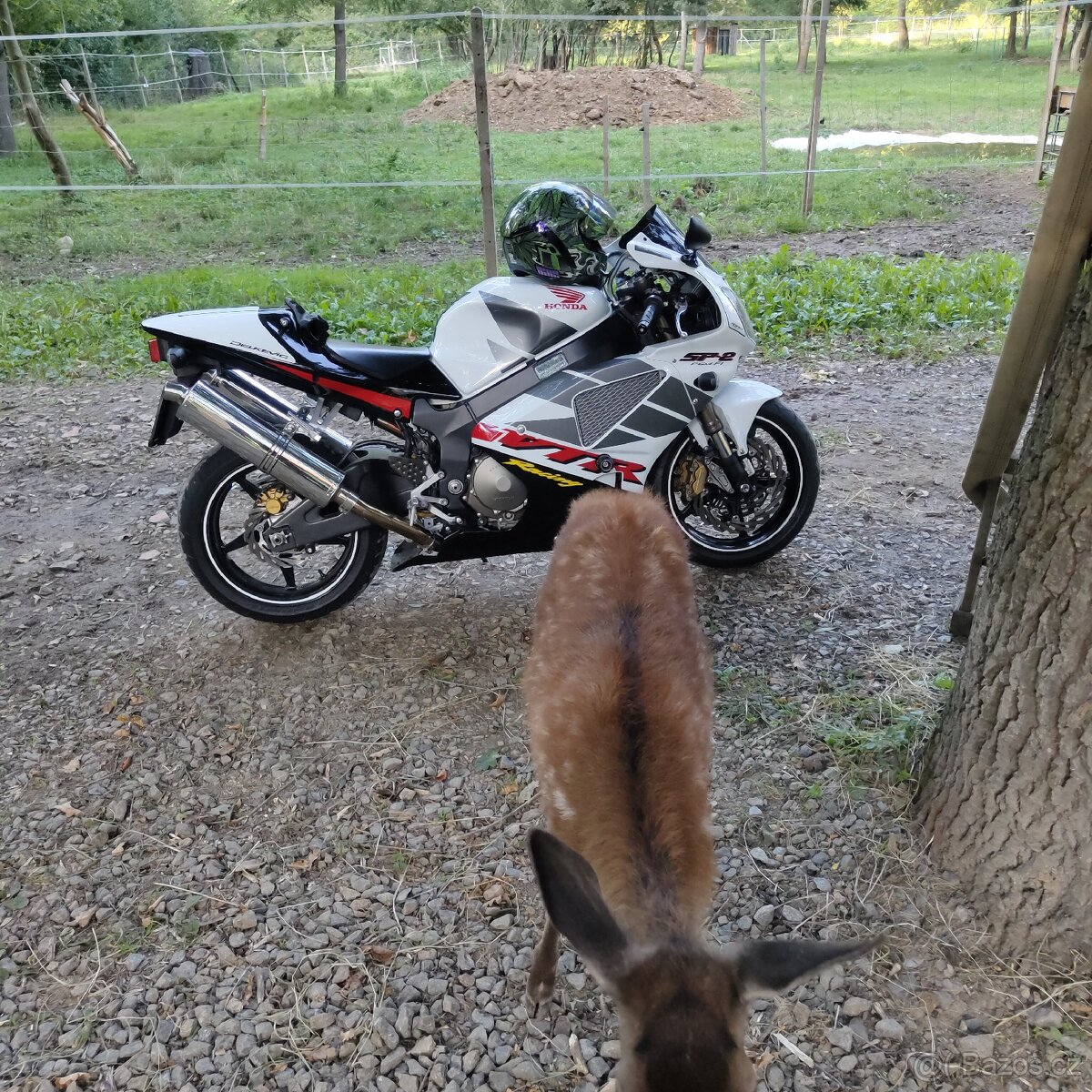 Honda VTR SP2 2005 USA verze - 3