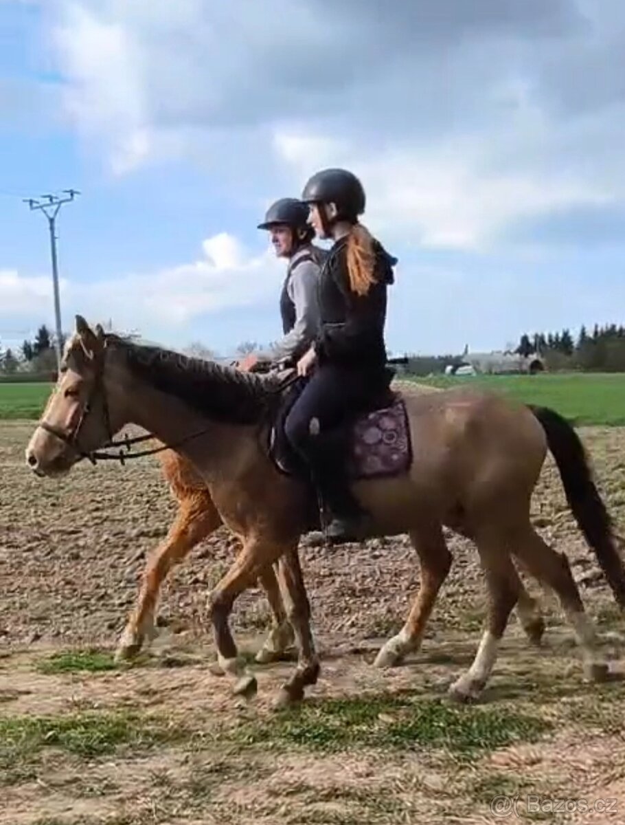 Pony A do sportu - 3