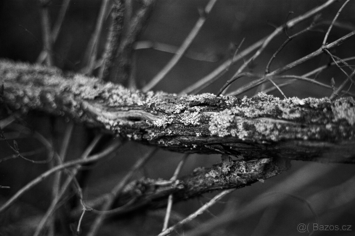 Pentax Super A + Sigma A 28-70mm f/3,5-4,5 - 3