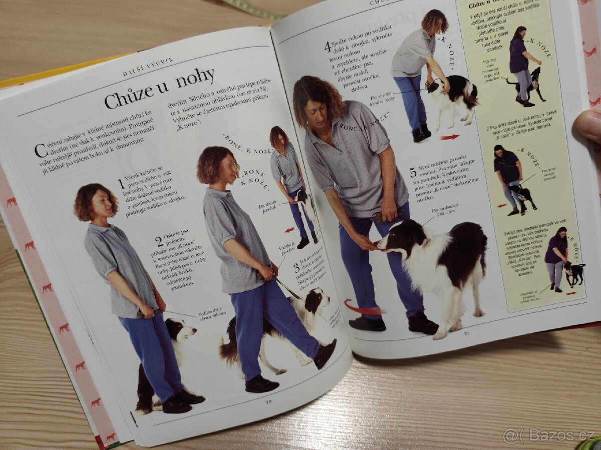 Vše o výcviku psa - 3